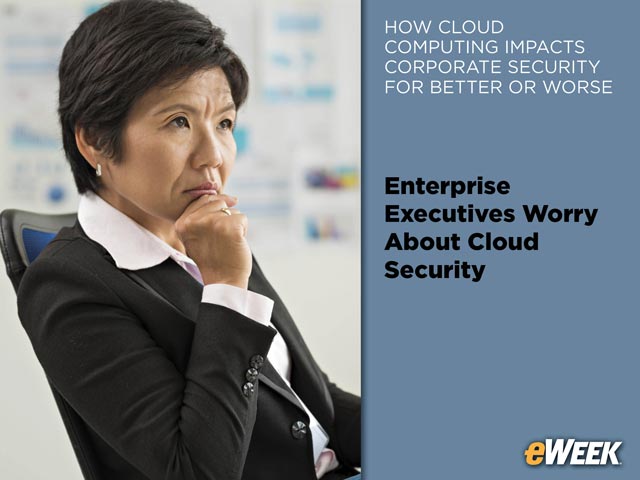Enterprise Executives Worry About Cloud Security